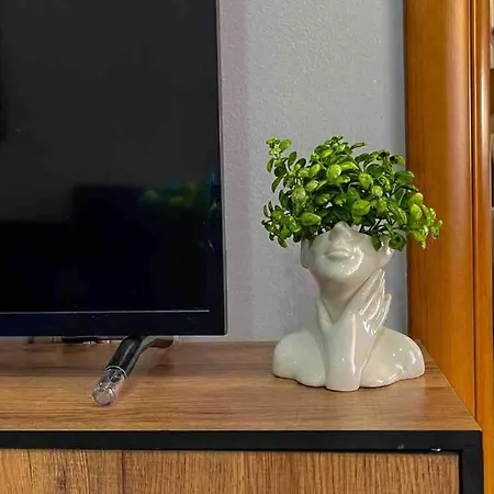 Appartement 22°bs *pazari View *